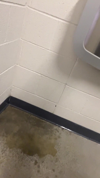 Must-share moment from "Pt1 My Public Park Exploration! I Went To The Men's Bathroom Stripped Naked And Had Lil Fun till I"