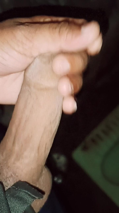 Indin desi land, jaipur vale ka cock
