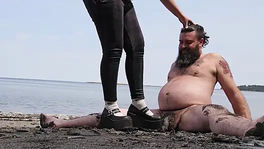 Gaspesie Cock Trampling