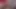 slut latina tiktok nude leaked