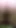 Powerful moment from "Powerful pissing from big mature hairy pussy in public garden outdoors. Urine. Holes and fat ass close-up. Milf. PAWG."