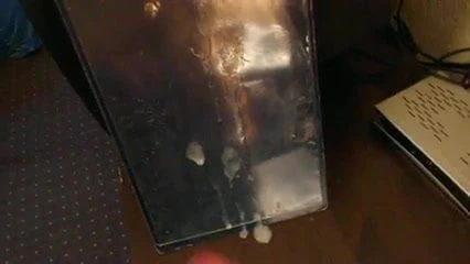 Une chatte délicieuse