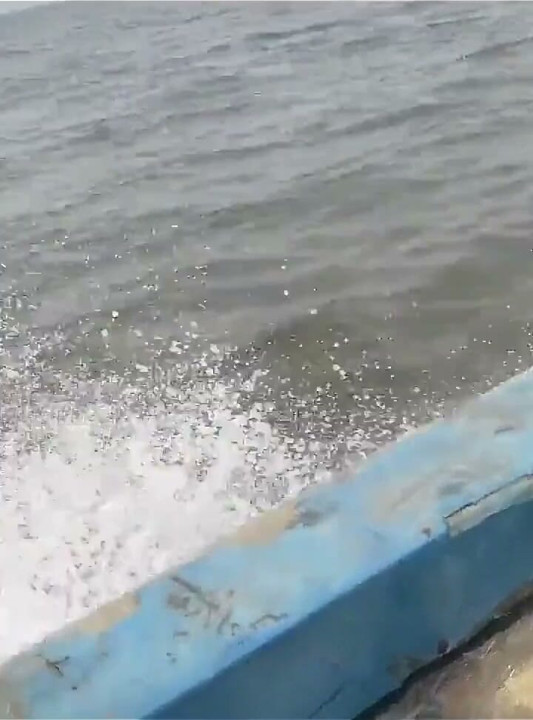A Journey Through the Sea