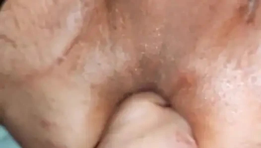 Suini Arrapati the beginning