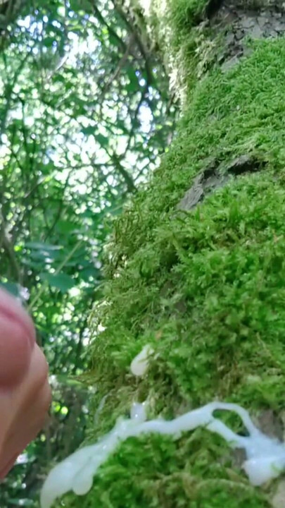Now this is my territory | Clip 1