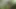 Interracial Orgy in the Garden: These Hotties Love to Be Fucked in the Ass