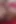 Öğrenci aneta anal mastürbasyon