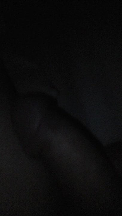 Xxxxx3