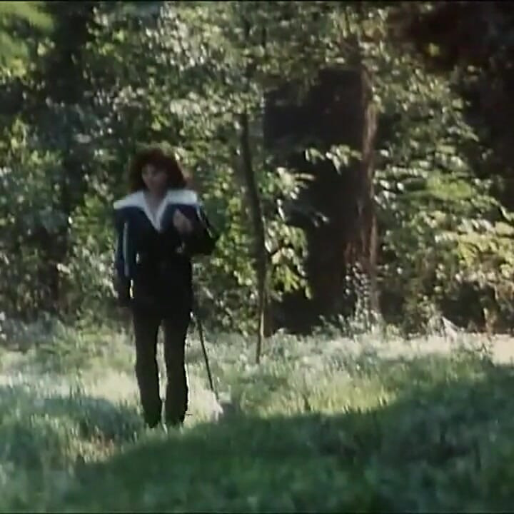 森の中の黒と白の中世のパーティー