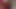 セクシーな素人フィットニューハーフby -darkdemon-