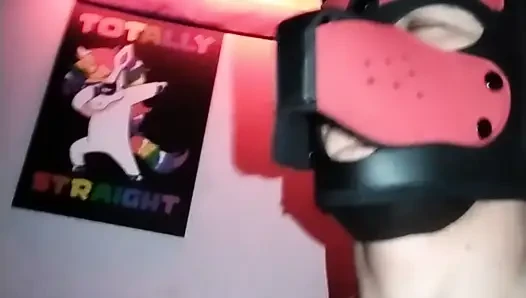Pup neiko kemiğine oturuyor ve mastürbasyon yapıyor