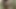 Indian gf sends nudes