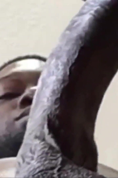 She Keeps Sloppily Sucking an Slurping Dick While It Nuts! in Her Mouth!!!