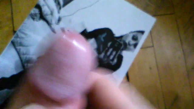 tribute 3