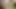 Two Horny Workers Barebacks Juliancito