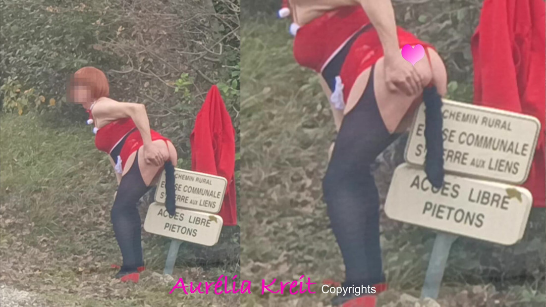 Christmas is approaching, Santa Girl is out to prepare Santa's tour: