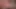 Brunette loving daddy's dick over her face