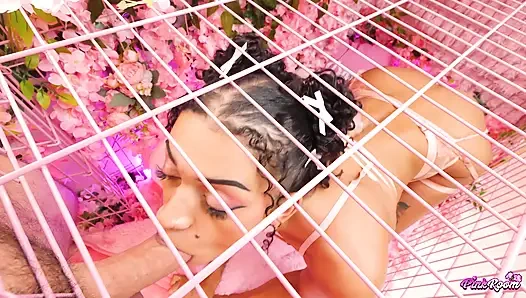 Pembe oda ep.31: uzun boylu, seksi sürtük Natasha Carter hepsini yapıyor