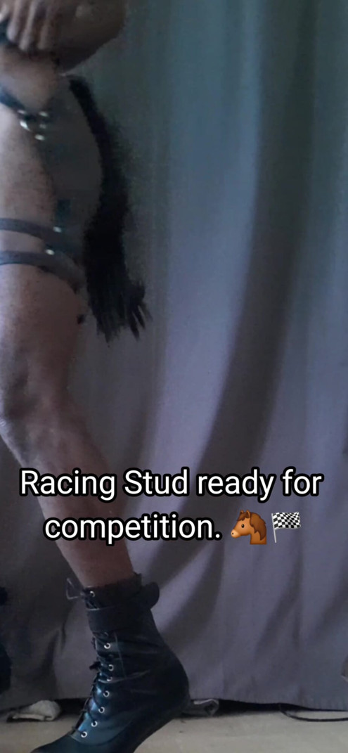 Put me on the track. #BDSM #PonyBoy #Black