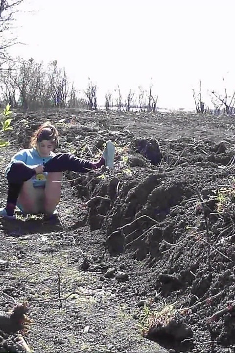 Peeing in nature