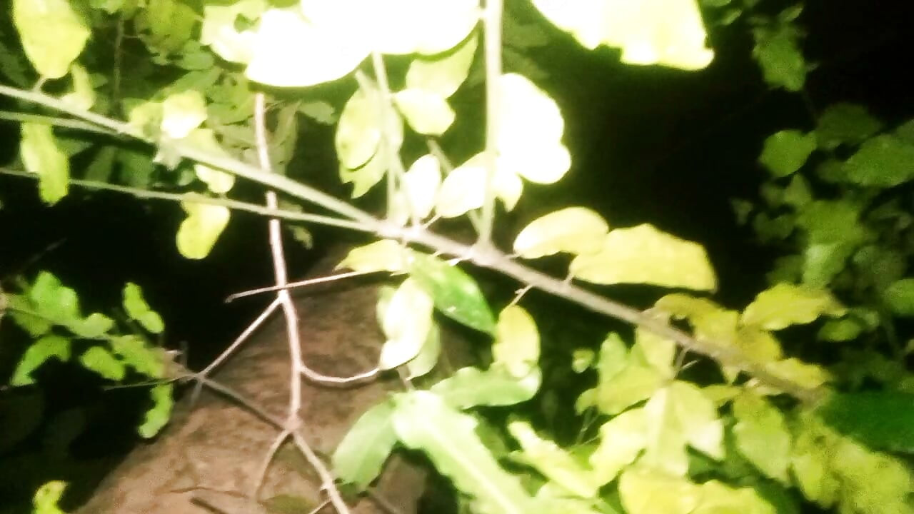 Lovely masturbating