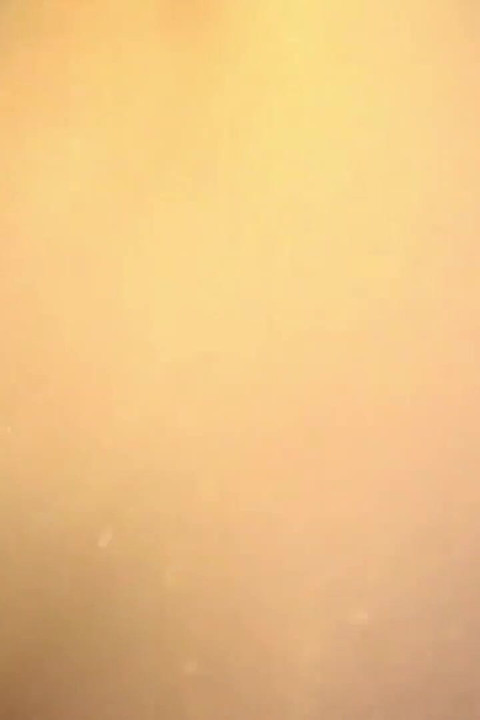 Asian Angel 24389