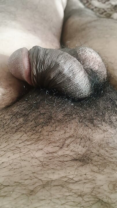 Good boy enjoying