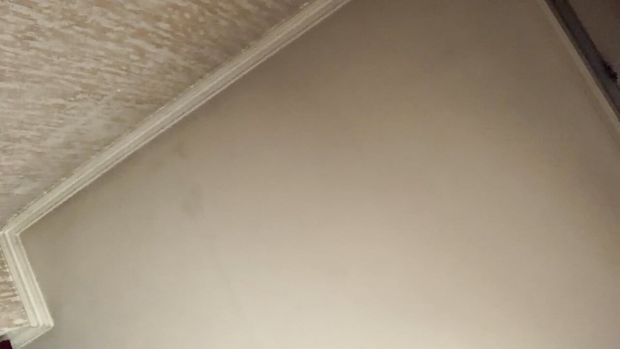 我知道你想要干他们