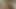 Exciting Adventures of a Curly-Haired College Girl’s First Time on Camera!