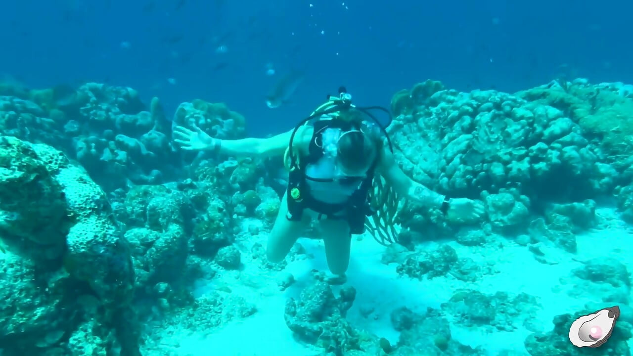 博內爾島的獨處時光