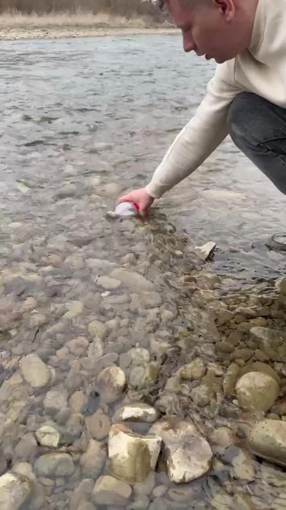 Survival Lifehack Bushcraft ✅ Survival Camping Lifehacks à l’extérieur, short de bushcraft