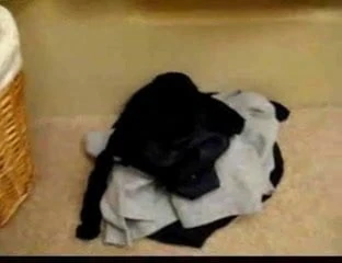 Sandys Panties