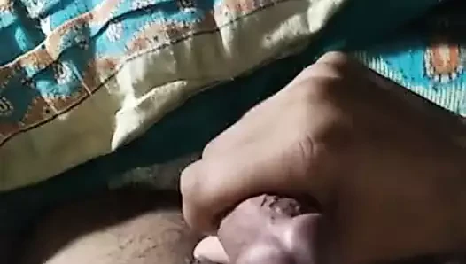 desi süt üretimi