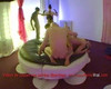 Pregled videozapisa
