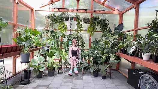 Тур в весенних оранжереях