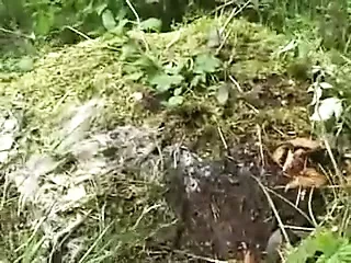 GERMAN FUCKERS #2 - COMPLETE FILM  -B$R