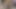 Güzel mona evde kimse yokken amını ovuyor