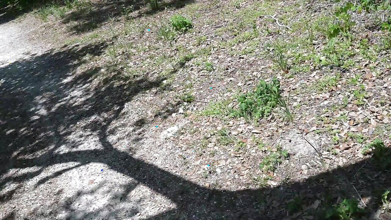 Vídeo do dia inteiro