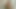 POV 私は監督を誘惑し、ピンクのアソコを渡して話題を通す