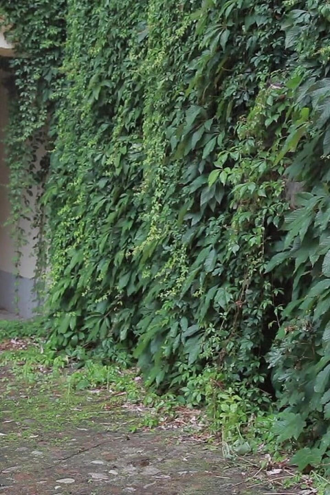 The Horny Rubber Gardener 12 Thunderstroke Cum Shots