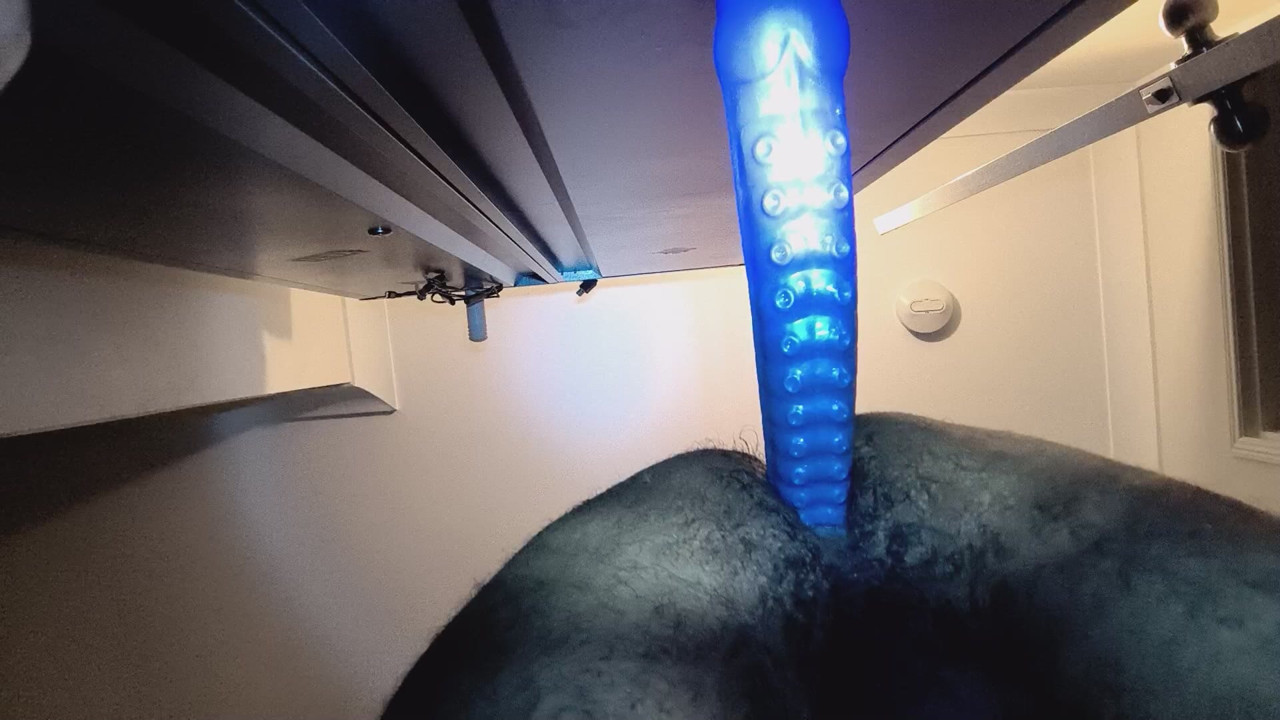 Feeding my ass again