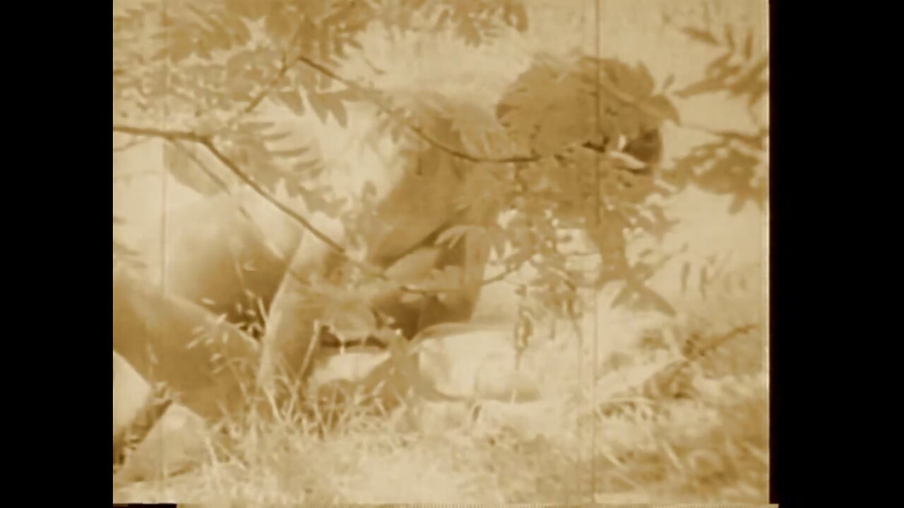 燃える草の葉の上で