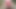Ass bouncing shooting a big load and licking it up