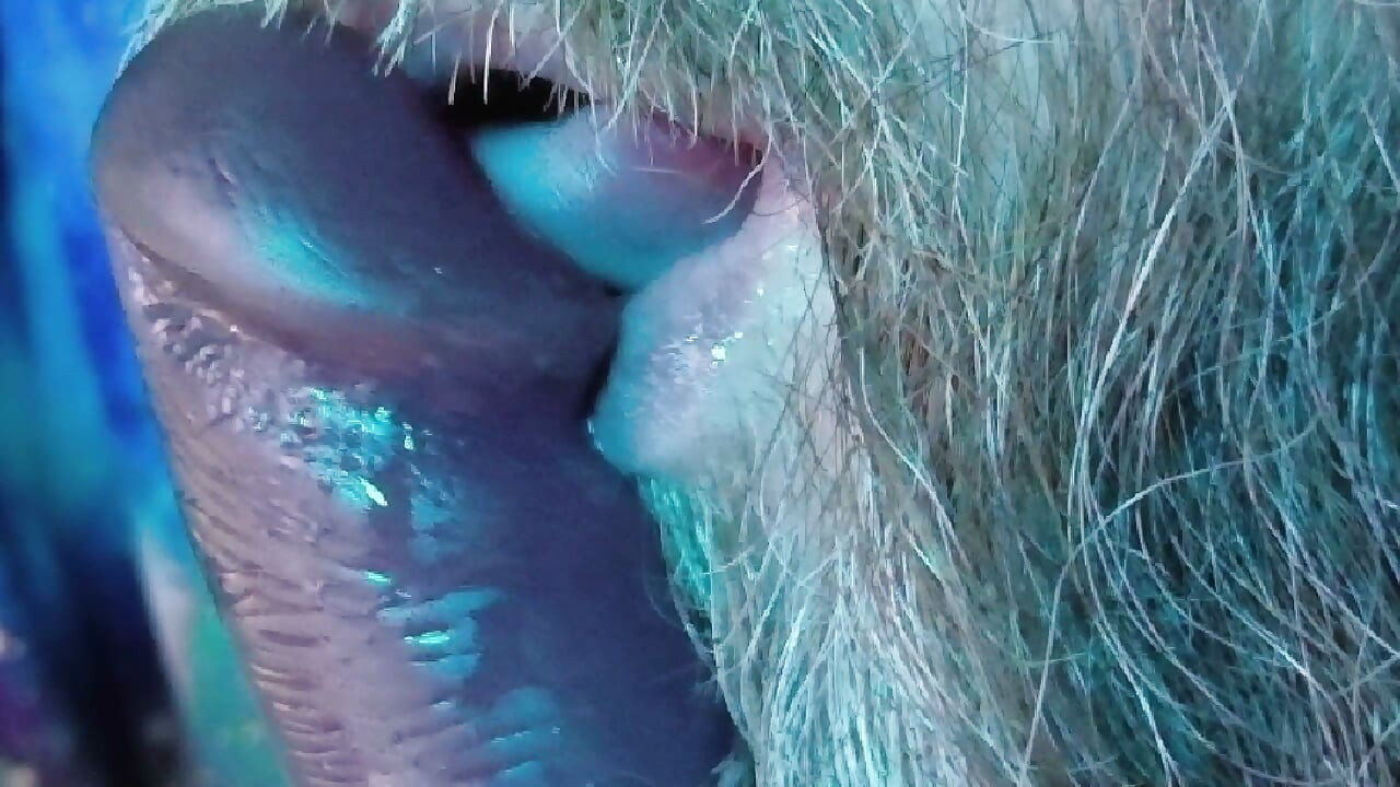 Daddy Learns To Suck Dick Part 2