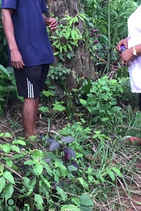 Quicky in the Bush, Almost Got Caught