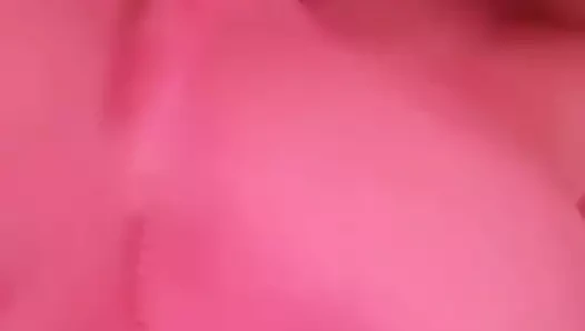 Bulgaria gay