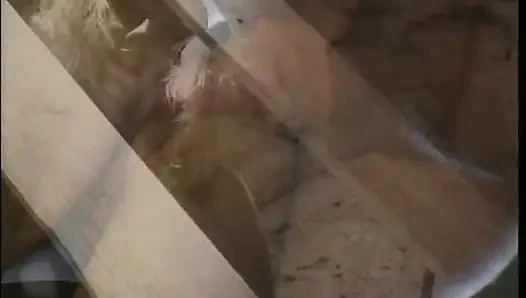 Cewek rambut pirang ini lagi asik fingering memeknya di menara kuno, dan ngentot kontol sampai matanya menganga lebar