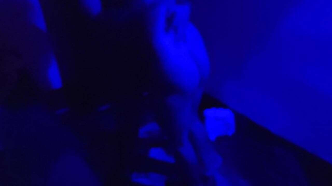 Behan Ko Ghodi Banakar Kar Choda Gandi Gali Sex Video