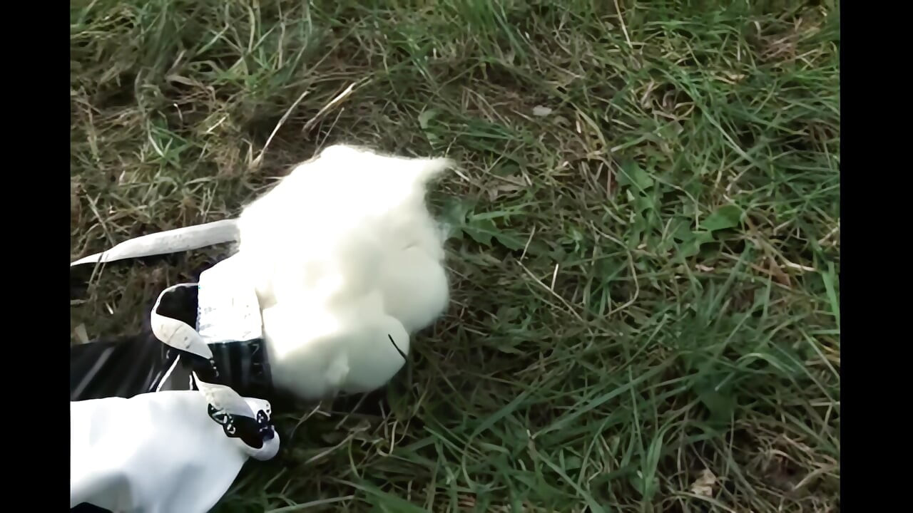 Tlustá holka dobře šukána velkým ptákem na trávníku