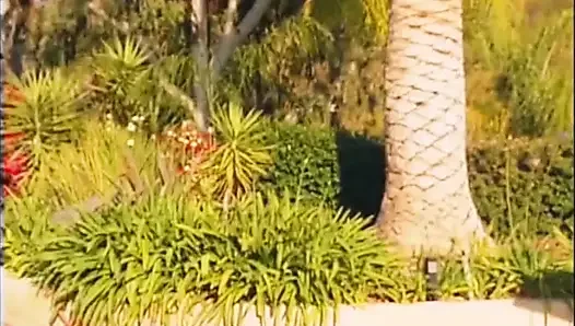 Vintage Outdoor Fuck on a Car for a Skinny Slut